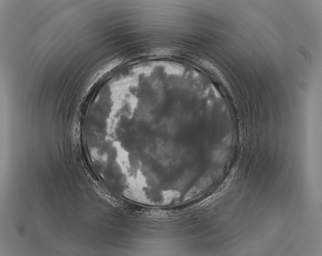 X0000113080827200909250947