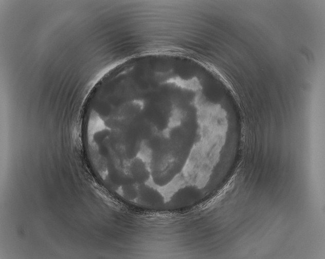 X0000113080830200909250947