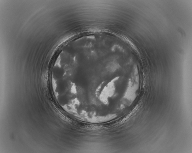 X0000113080831200909250947
