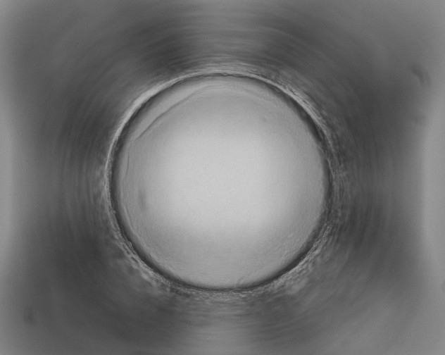 X0000113080832200909250947