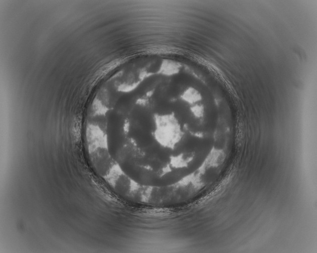X0000113080833200909250947