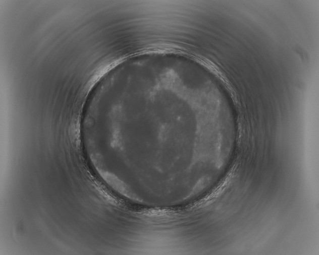 X0000113080834200909250947
