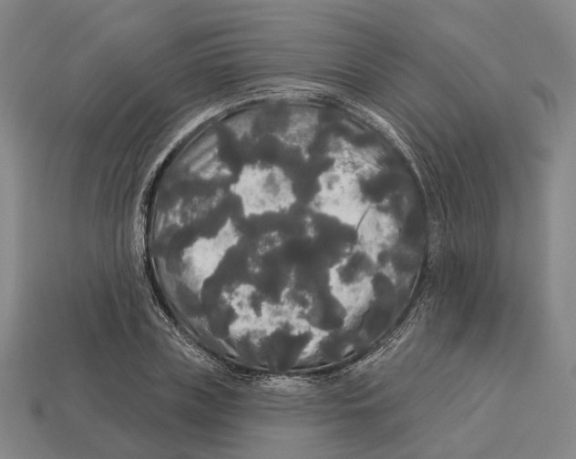 X0000113080835200909250947