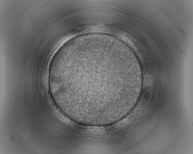 X0000113080836200909250947