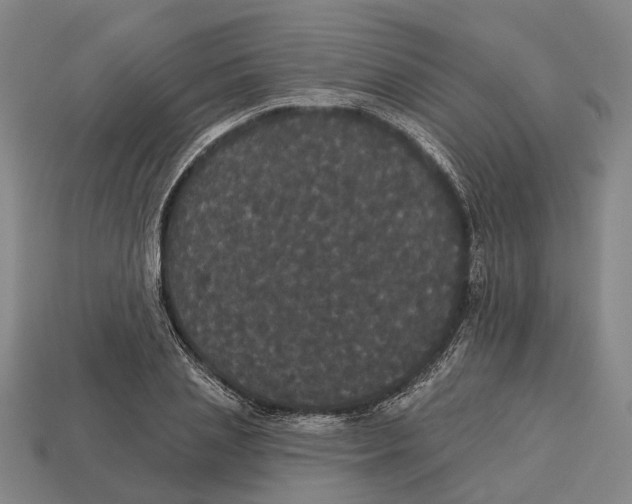 X0000113080837200909250948
