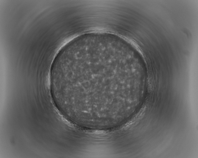 X0000113080839200909250948