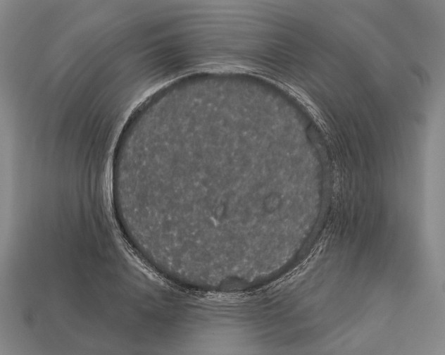 X0000113080840200909250948