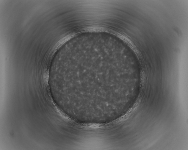 X0000113080841200909250948