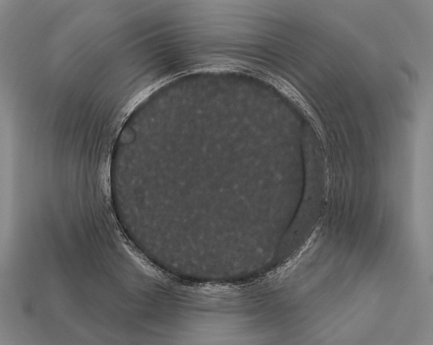 X0000113080842200909250948