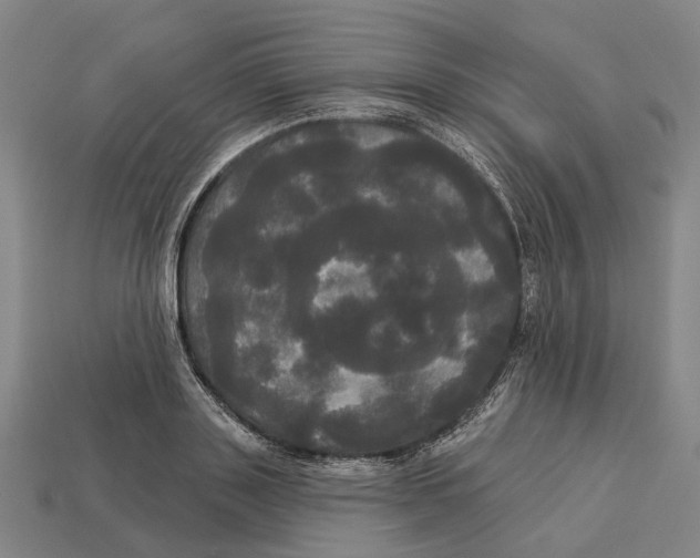 X0000113080843200909250948