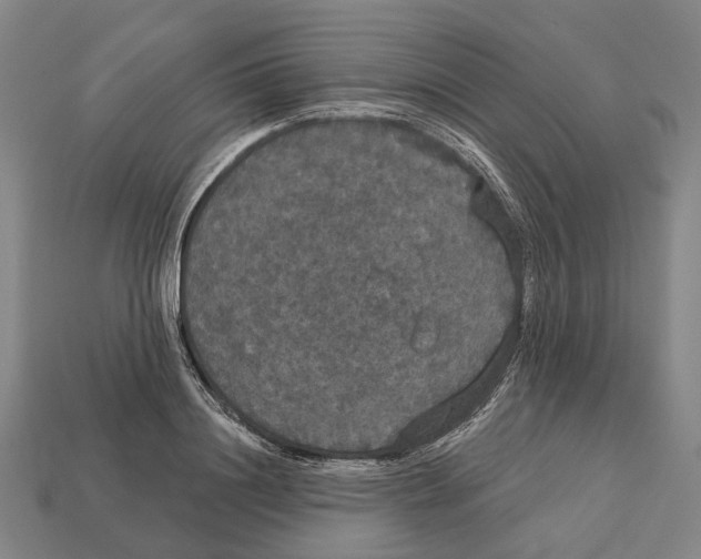 X0000113080844200909250948