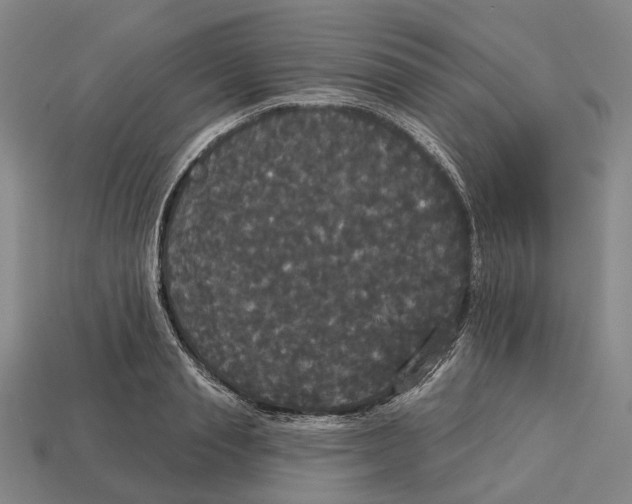 X0000113080845200909250948