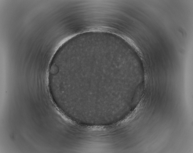 X0000113080846200909250948