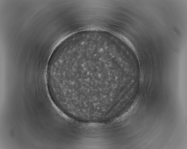 X0000113080847200909250948