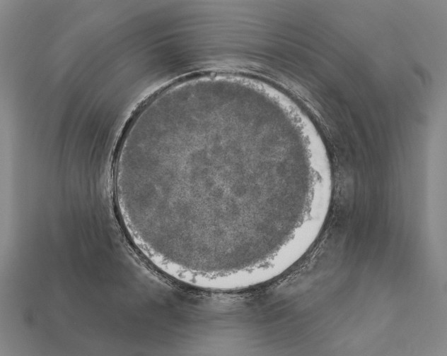X0000113080848200909250948