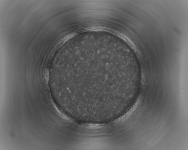 X0000113080849200909250948