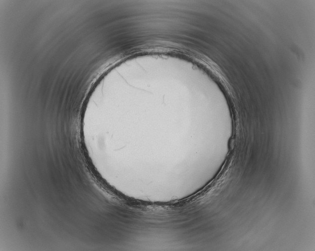 X0000113080850200909250948
