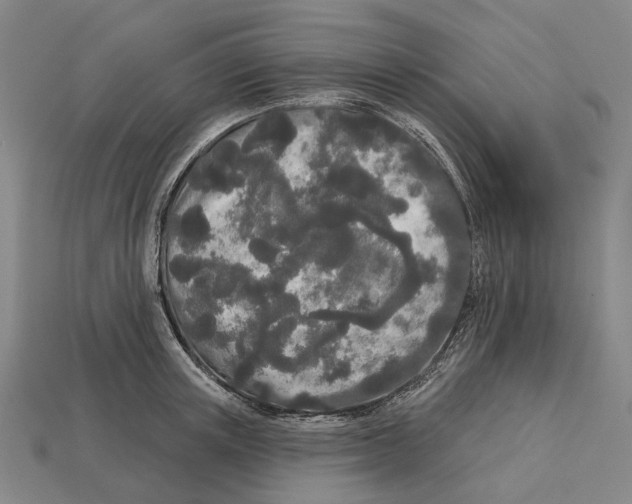 X0000113080851200909250948