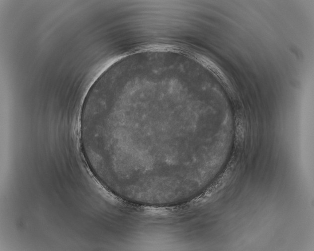 X0000113080852200909250948
