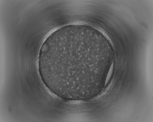 X0000113080853200909250948