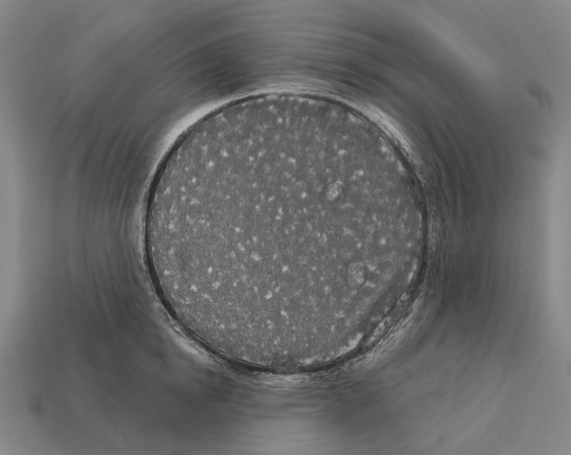 X0000113080854200909250948