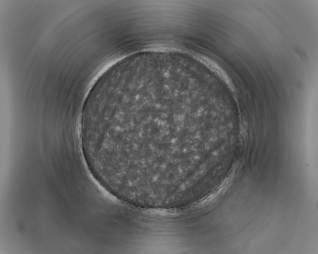 X0000113080855200909250948