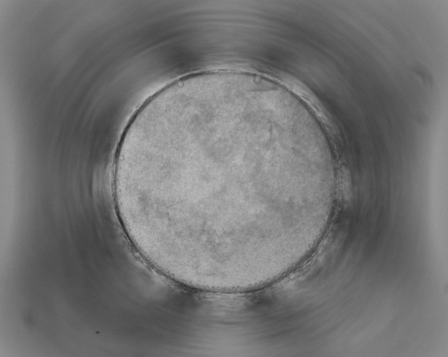 X0000113080856200909250948