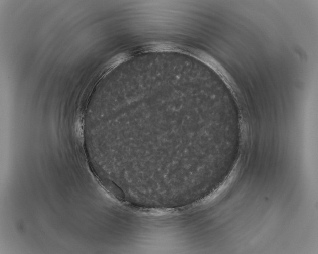 X0000113080857200909250948