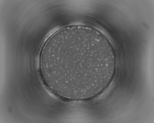X0000113080858200909250948