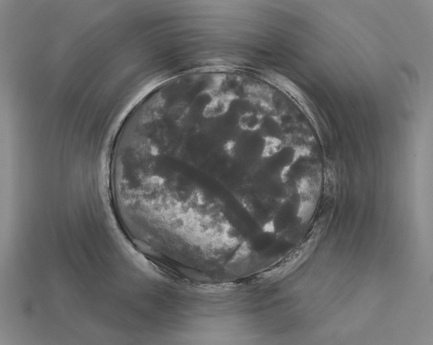 X0000113080859200909250948
