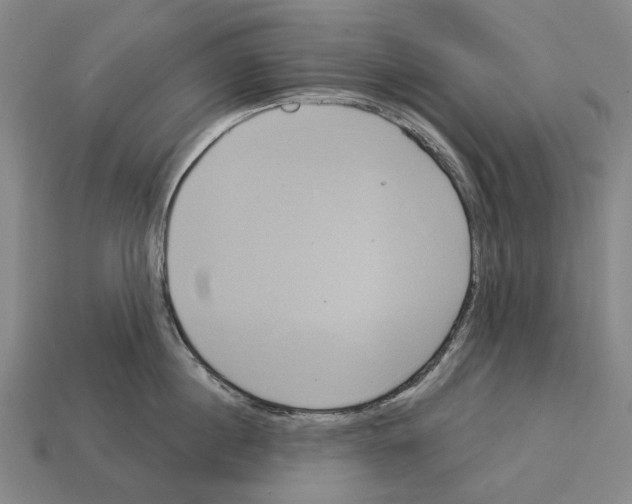 X0000113080860200909250948