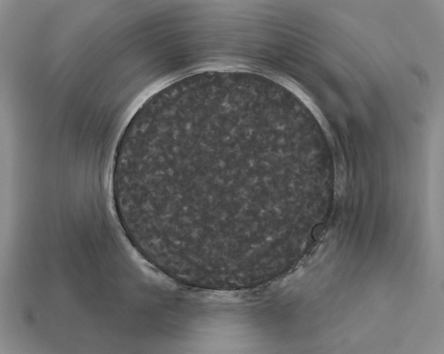 X0000113080861200909250948