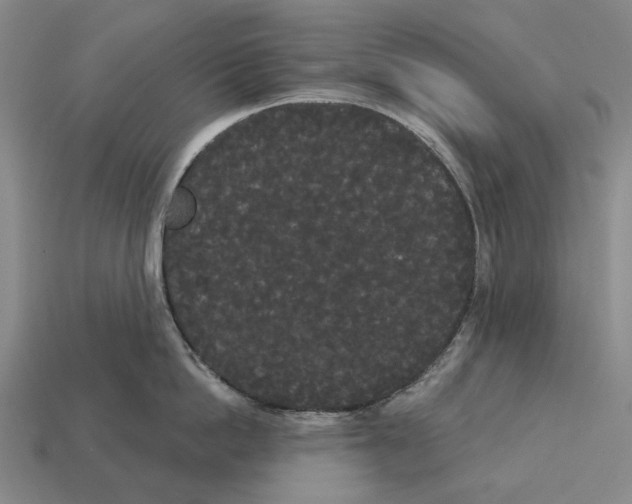 X0000113080862200909250948