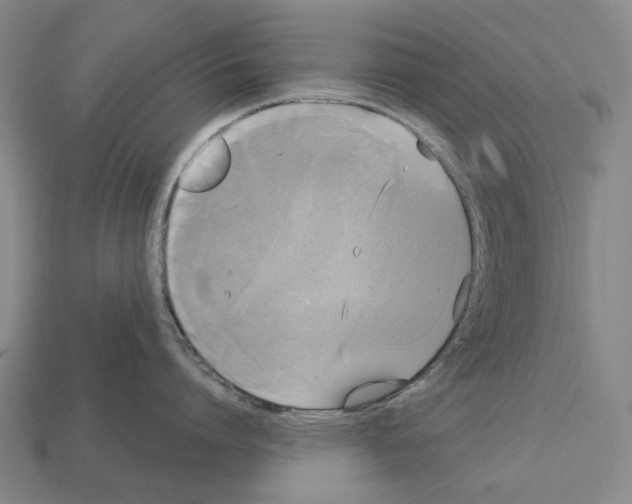 X0000113080864200909250948
