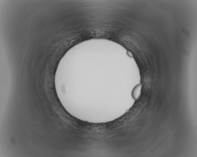X0000113080865200909250947