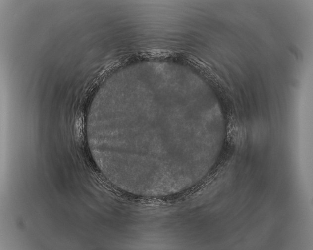 X0000113080866200909250947