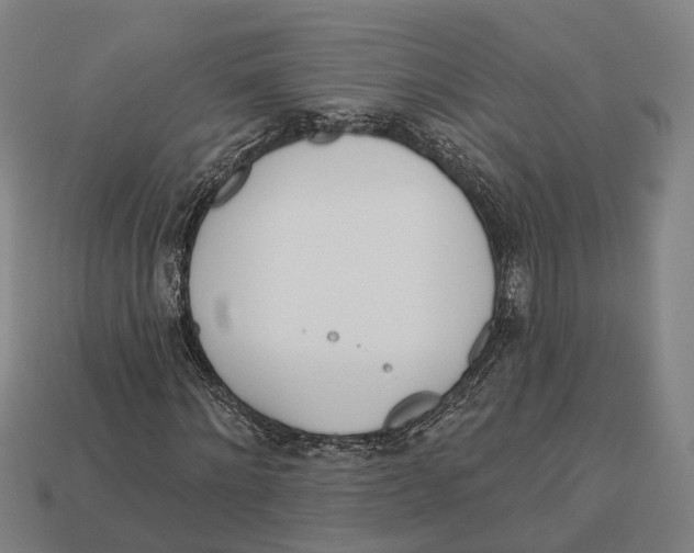 X0000113080868200909250947