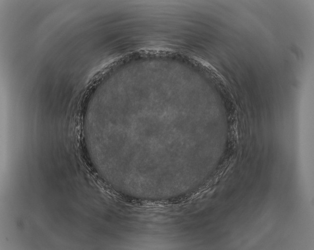 X0000113080870200909250947