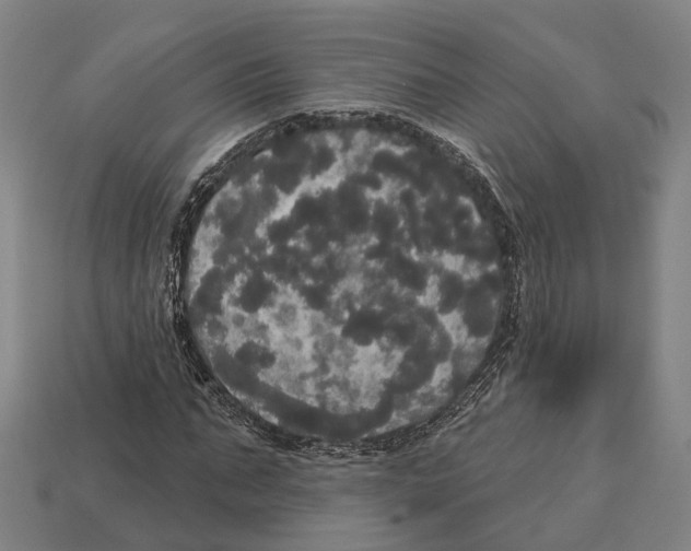 X0000113080871200909250947