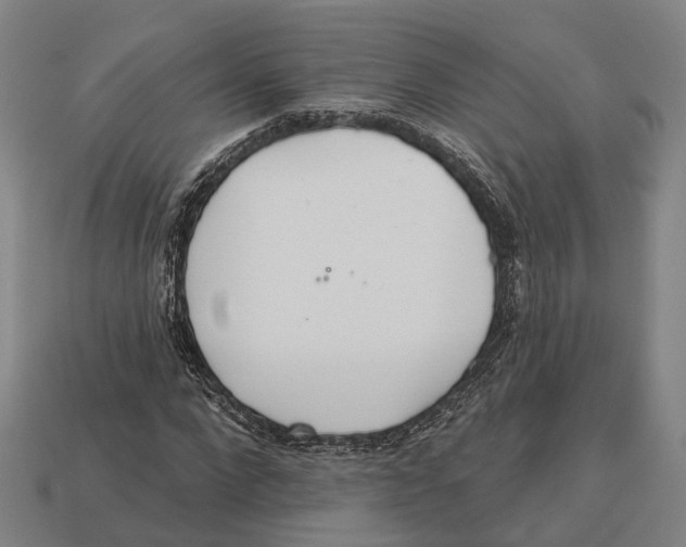 X0000113080872200909250947