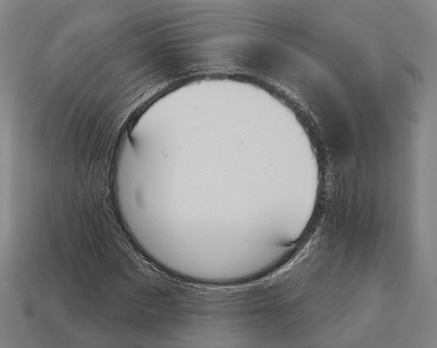 X0000113080873200909250947