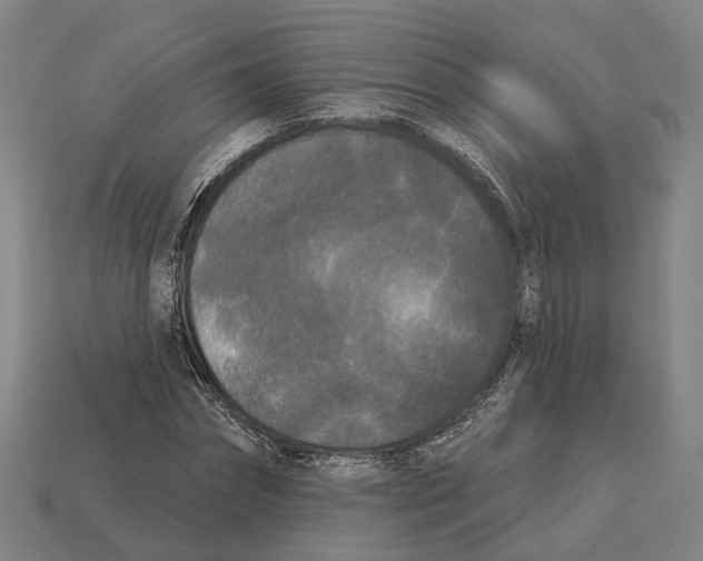 X0000113080874200909250947
