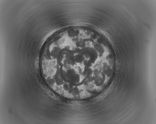 X0000113080875200909250947