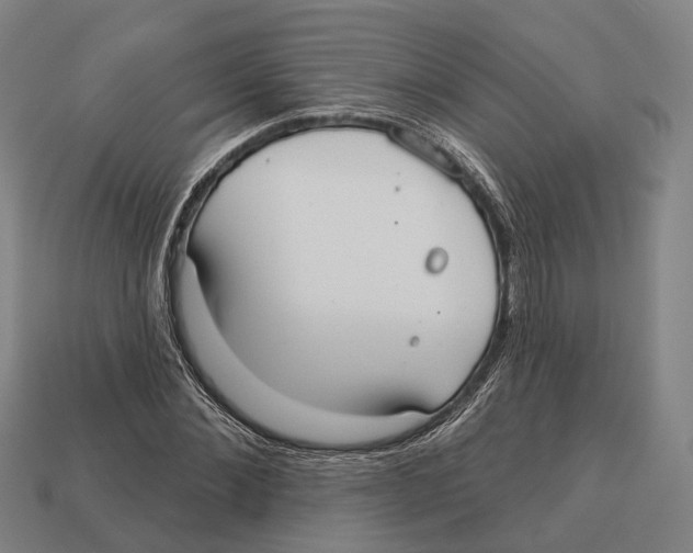 X0000113080876200909250947