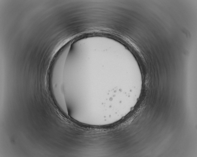 X0000113080877200909250947