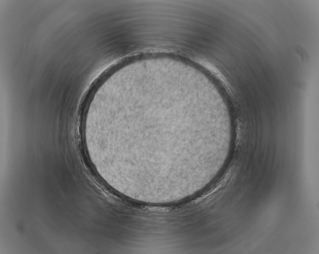 X0000113080878200909250947