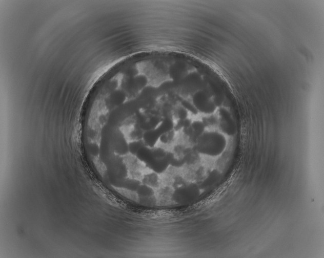 X0000113080879200909250947