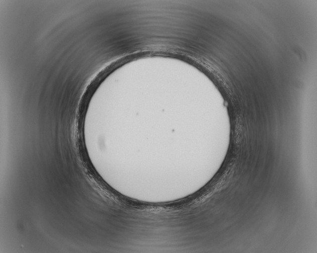 X0000113080880200909250947