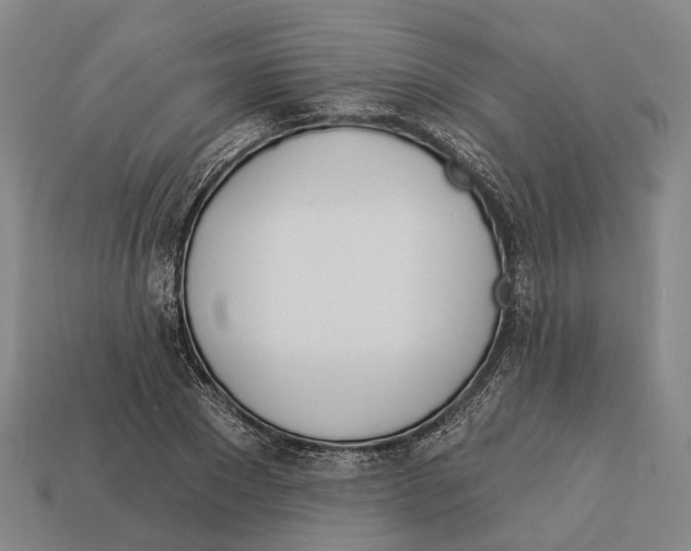 X0000113080881200909250947
