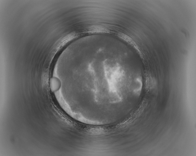 X0000113080882200909250947